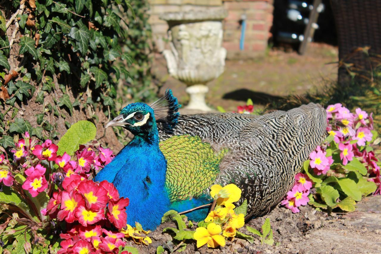 Powdermills Country House Hotel バトル エクステリア 写真